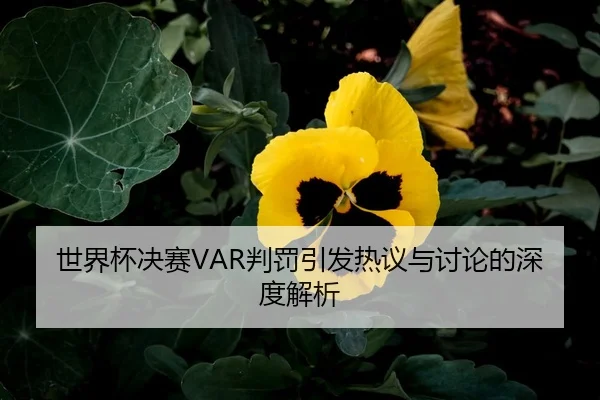 shi-jie-bei-jue-sai-pan-fa-yin-fa-re-yi-yu-tao-lun-de-shen-du-jie-xi-2-581.jpg